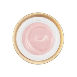 Lancôme - Absolue Crema Sublime Fondente - Sublime Regenerating Dark Cream with Noble Rose Extracts - Luxury - 60 ml - Avvenice