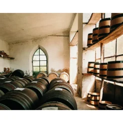 Le Dimore del Borgo - Discovering Borgo del Balsamico - Balsamic Vinegar Experience - Guided Tour with Tasting - Daily - Avvenice