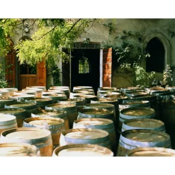 Le Dimore del Borgo - Discovering Borgo del Balsamico - Balsamic Vinegar Experience - Guided Tour with Tasting - Daily - Avvenice