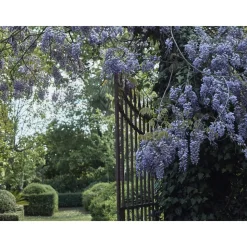 Le Dimore del Borgo - Discovering Borgo del Balsamico - 3 Days 2 Nights - Piccolina Suite - 2 Persons - Vinegar Experience - Avvenice