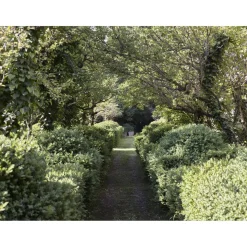 Le Dimore del Borgo - Discovering Borgo del Balsamico - 3 Days 2 Nights - Piccolina Suite - 2 Persons - Vinegar Experience - Avvenice