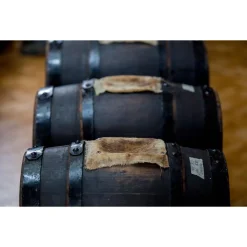 Le Dimore del Borgo - Discovering Borgo del Balsamico - 2 Days 1 Night - Cortina Suite - 2 Persons - Vinegar Experience - Avvenice