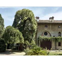 Le Dimore del Borgo - Discovering Borgo del Balsamico - 2 Days 1 Night - Cortina Suite - 2 Persons - Vinegar Experience - Avvenice