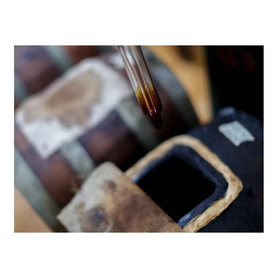 Le Dimore del Borgo - Discovering Borgo del Balsamico - 4 Days 3 Nights - Glicine Suite - 4 Persons - Vinegar Experience - Avvenice