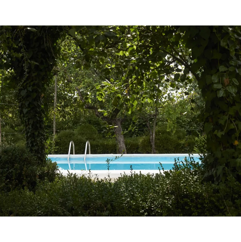 Le Dimore del Borgo - Discovering Borgo del Balsamico - 4 Days 3 Nights - Glicine Suite - 4 Persons - Vinegar Experience - Avvenice