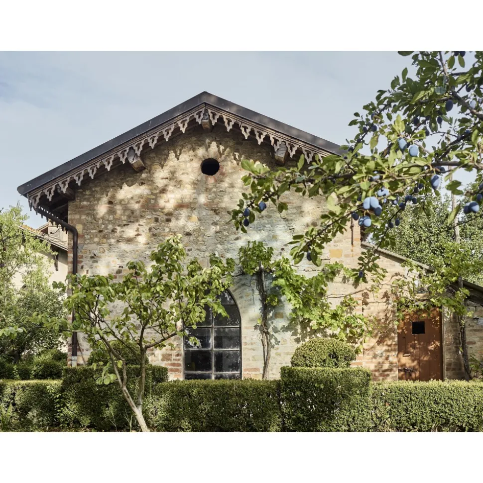 Le Dimore del Borgo - Discovering Borgo del Balsamico - 4 Days 3 Nights - Glicine Suite - 4 Persons - Vinegar Experience - Avvenice