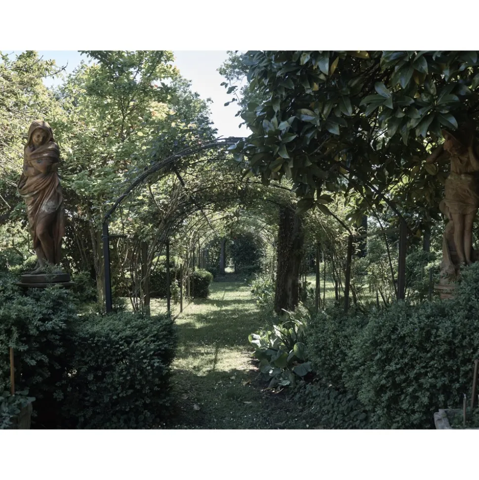 Le Dimore del Borgo - Discovering Borgo del Balsamico - 4 Days 3 Nights - Glicine Suite - 4 Persons - Vinegar Experience - Avvenice