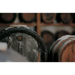 Le Dimore del Borgo - Discovering Borgo del Balsamico - 3 Days 2 Nights - Ortigia Suite - 2 Persons - Vinegar Experience - Avvenice