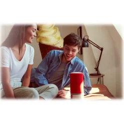 Libratone - Zipp Mini - Graphite Grey - High Quality Speaker - Airplay, Bluetooth, Wireless, DLNA, WiFi - Avvenice