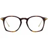 Linda Farrow - Mila Square Optical Glasses in Tortoiseshell - LF52C2OPT - Linda Farrow Eyewear - Avvenice