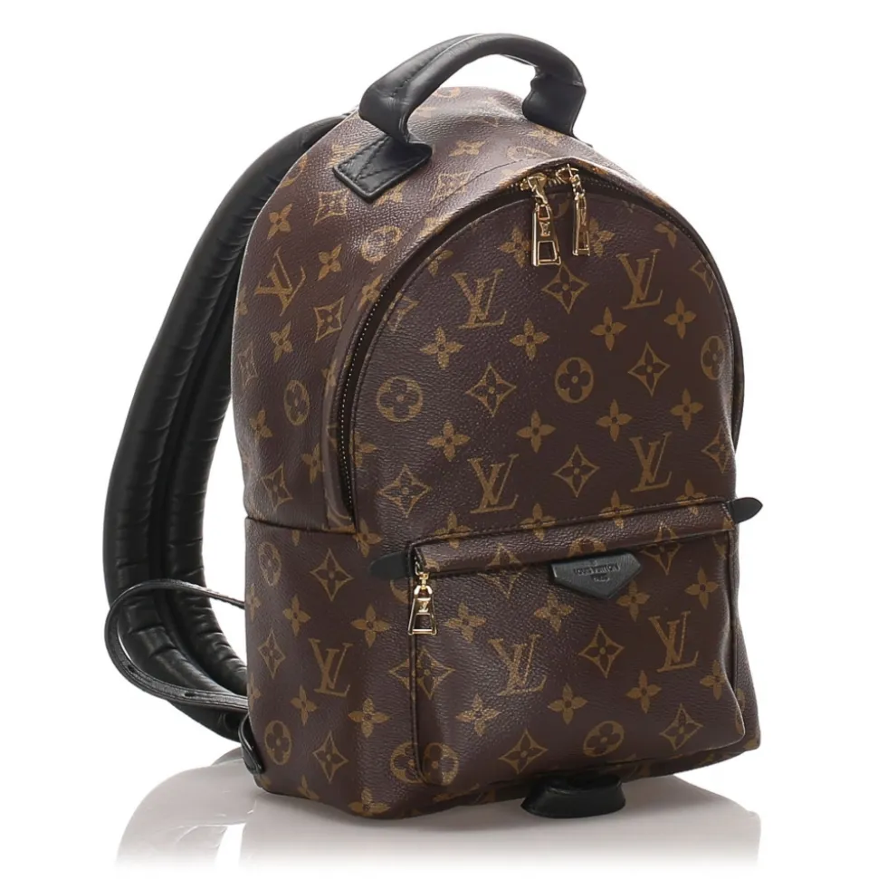 Louis Vuitton Vintage - Monogram Palm Springs PM Backpack - Brown - Canvas and Leather Backpack - Luxury High Quality - Avvenice