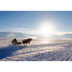 Luxury Dolomites - Seven Nights in a Dream Chalet - 8 Days 7 Nights - Exclusive Luxury - Avvenice