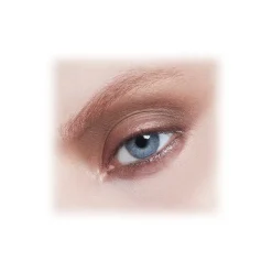 MAC Cosmetics - Eye Shadow - Eyeshadow - Luxury - Avvenice