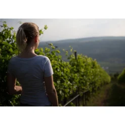 Massimago Wine Relais - MasterChef Experience - 3 Days 2 Nights - Avvenice