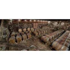 Massimago Wine Relais - MasterChef Experience - 3 Days 2 Nights - Avvenice