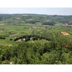 Massimago Wine Relais - MasterChef Experience - 5 Days 4 Nights - Avvenice