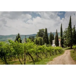 Massimago Wine Relais - MasterChef Experience - 4 Days 3 Nights - Avvenice