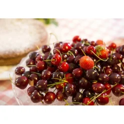 Massimago Wine Relais - MasterChef Experience - 4 Days 3 Nights - Avvenice