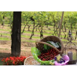 Massimago Wine Relais - Valpolicella Relax Experience - 3 Days 2 Nights - Avvenice