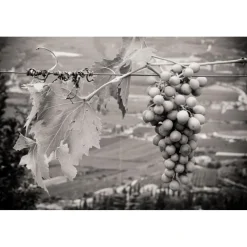 Massimago Wine Relais - Valpolicella Wine & Relax - Apartment - 4 Persons - 3 Days 2 Nights - Avvenice