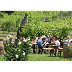 Massimago Wine Relais - Valpolicella Wine & Relax - Apartment - 4 Persons - 3 Days 2 Nights - Avvenice