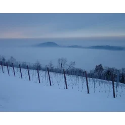 Massimago Wine Relais - Valpolicella Wine & Relax - Apartment - 4 Persons - 3 Days 2 Nights - Avvenice