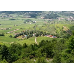 Massimago Wine Relais - Valpolicella Relax Experience - 4 Days 3 Nights - Avvenice