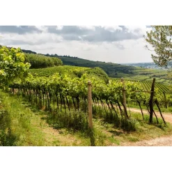 Massimago Wine Relais - Valpolicella Relax Experience - 4 Days 3 Nights - Avvenice
