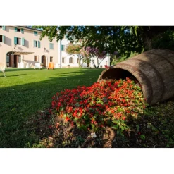 Massimago Wine Relais - Valpolicella Wine & Relax - Apartment - 4 Persons - 4 Days 3 Nights - Avvenice