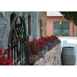Massimago Wine Relais - Valpolicella Wine & Relax - Apartment - 4 Persons - 4 Days 3 Nights - Avvenice