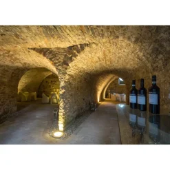 Massimago Wine Tower - Wine Tasting Experience - 5 Days 4 Nights - Avvenice