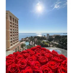 Monte Carlo Travel 1985 - Monte-Carlo Bay Hotel & Resort - 3 Days 2 Nights - Monte-Carlo - Exclusive Luxury - Avvenice