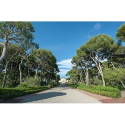 Monte Carlo Travel 1985 - Yacht Excursion - Cannes to D'Antibes - Hotel of Cap Eden Roc - Cannes - France - Exclusive Luxury - Avvenice