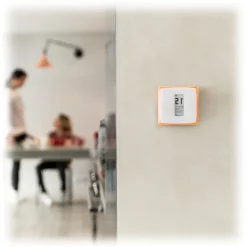 Netatmo - Smart Thermostat for Autonomous Boiler - Intelligent Thermostat - Smart Home - Avvenice