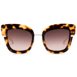 No Logo Eyewear - NOL81031 Sun - Havana and Gold - Sunglasses - Avvenice