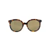 No Logo Eyewear - NOL30151 Sun - Glossy Havana and Shiny Gold - Sunglasses - Avvenice