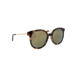 No Logo Eyewear - NOL30151 Sun - Glossy Havana and Shiny Gold - Sunglasses - Avvenice