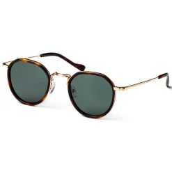 No Logo Eyewear - NOL19011 Sun - Dark Green and Havana -  Sunglasses - Avvenice