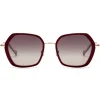 No Logo Eyewear - NOL81033 Sun - Bordeaux and Gold - Sunglasses - Avvenice