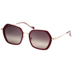 No Logo Eyewear - NOL81033 Sun - Bordeaux and Gold - Sunglasses - Avvenice