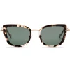 No Logo Eyewear - NOL81034 Sun - Light Havana and Gold - Sunglasses - Avvenice