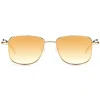 No Logo Eyewear - NOL81016 Sun - Gold -  Sunglasses - Avvenice