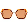 No Logo Eyewear - NOL81030 Sun - Havana and Gold -  Sunglasses - Avvenice