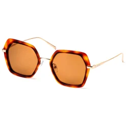 No Logo Eyewear - NOL81030 Sun - Havana and Gold -  Sunglasses - Avvenice