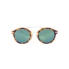 No Logo Eyewear - NOL30193 Sun - Havana and Shiny Gold - Sunglasses - Avvenice