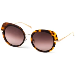 No Logo Eyewear - NOL81032 Sun - Havana and Gold - Sunglasses - Avvenice