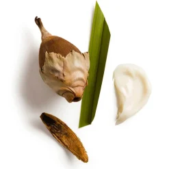 Nu Skin - Epoch Firewalker - 100 ml - Body Spa - Beauty - Professional Spa Equipment - Avvenice