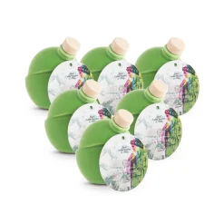 Olio le Donne del Notaio - Donna dei Ferri - Ceramic - Extra Virgin Olive Oil - Artisan - Italian High Quality - 6 x 250 ml - Avvenice