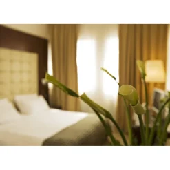 Palace Bonvecchiati - Venice Lover - 4 Days 3 Nights - Venice Exclusive Luxury - Avvenice