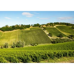 Palazzo di Varignana - Golf & Spa - 4 Days 3 Nights - Crystal Pool - Varsana SPA - Italy - Exclusive Luxury - Avvenice